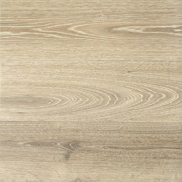 European White Oak